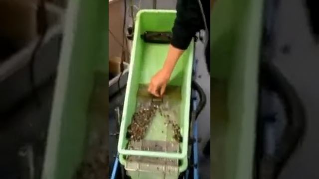 please dredge смотреть онлайн