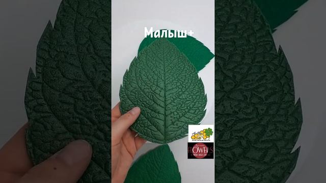 Пластиковый молд "Малыш +" 14х19см, обзор оттиска. смотреть онлайн