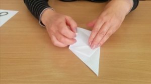 Не гаснет памяти свеча. Мастер-класс по оригами к Международному дню «Белые журавли»