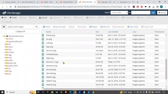Day 25 On-page SEO & SEO intro смотреть онлайн