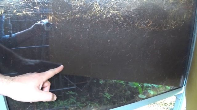 Вермиферма в Аптекарском огороде. Вермиреактор с прозрачными стенками. смотреть онлайн