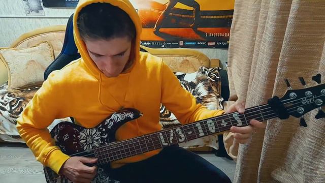 Polish cow dance - bass cover смотреть онлайн