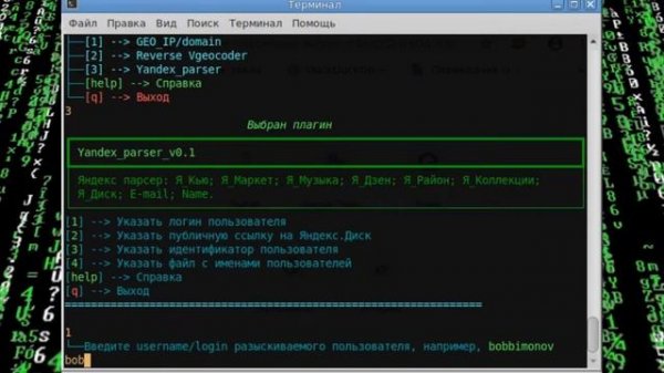 Snoop Project - один из самых перспективных и популярных OSINT-инструментов по поиску никнеймов.