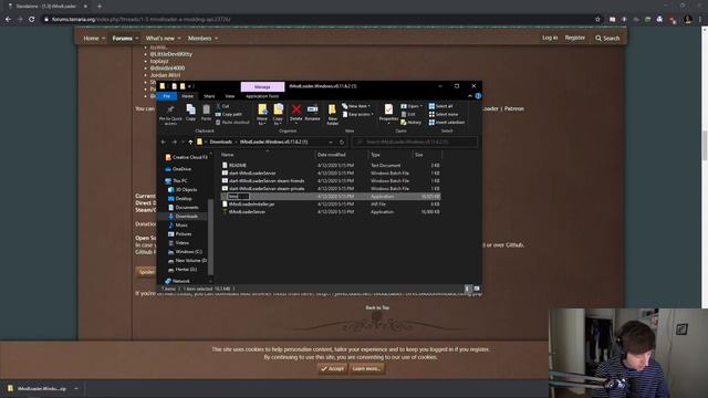 1.3.5 HOW TO GET MODS ON TERRARIA (TMODLOADER INSTALL GUIDE) смотреть онлайн