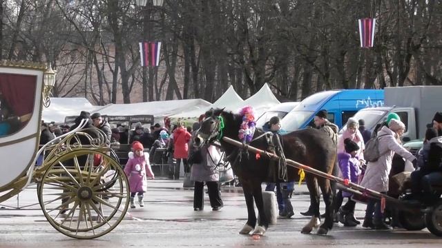 конные прогулки, карета, лошади с повозками на прокат в Великом Новгороде смотреть онлайн