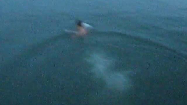 кит ГОРБАЧ смотреть онлайн