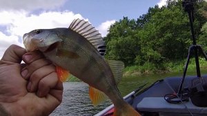 РЫБАЛКА СПЛАВОМ. ЛОВЛЯ ХИЩНИКА НА УЛЬТРАЛАЙТ. ОТЛИЧНЫЕ ПОКЛЁВКИ. РЫБАЛКА С ЛОДКИ.