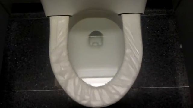 ORD (Chicago) Airport Toilets смотреть онлайн