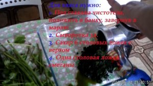 Лечебные свойства чистотела в народной медицине.  Квас из чистотела
