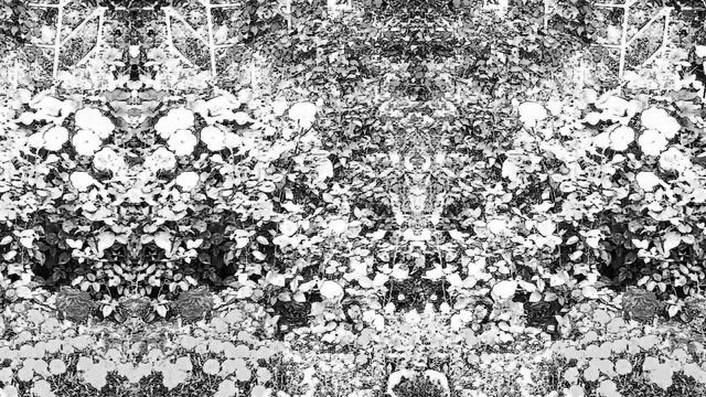 радуга цветов смотреть онлайн