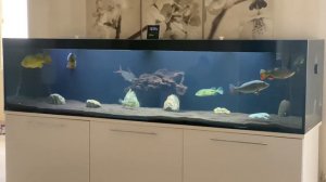 Аквариум 1000 литров