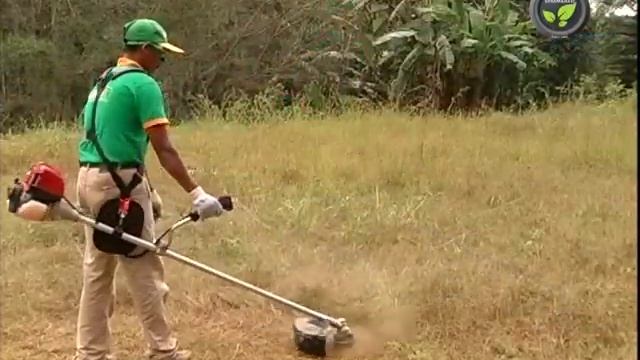 Weed Cutter or Power Weeder or Brush Cutter смотреть онлайн
