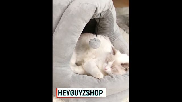 домик лежанка для кота смотреть онлайн