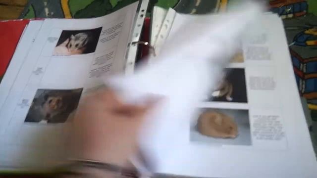 Updated hamster binder смотреть онлайн