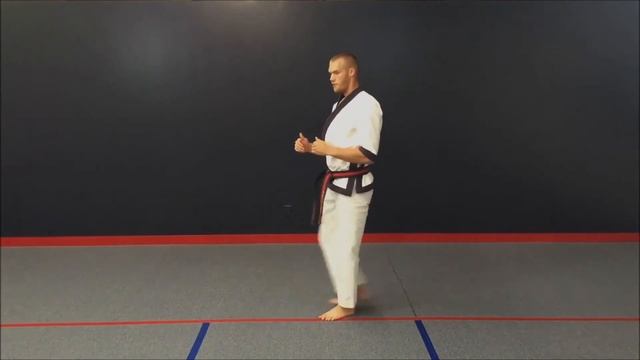 The Online Karate School promo karate video смотреть онлайн