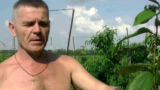 22 - Монилиоз плодовых деревьев (Монилиальный ожёг) смотреть онлайн