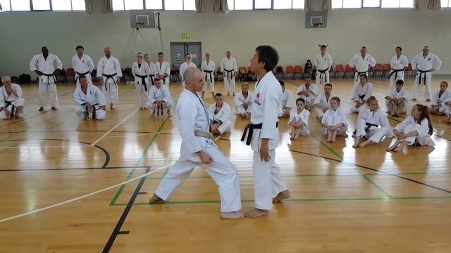 Kawasoe Sensei At JKA Shotokan Ireland Seminar May 2016