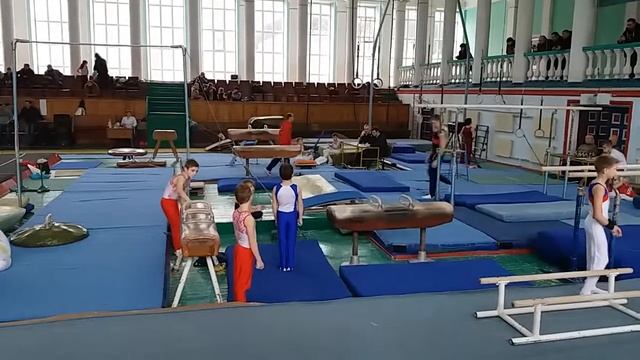 Соревнования спортивная гимнастика  3 разряд Арефьев Егор(3)