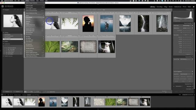 Ultimate Adobe Lightroom Classic 2022-"Menu Items" FREE SERIES смотреть онлайн