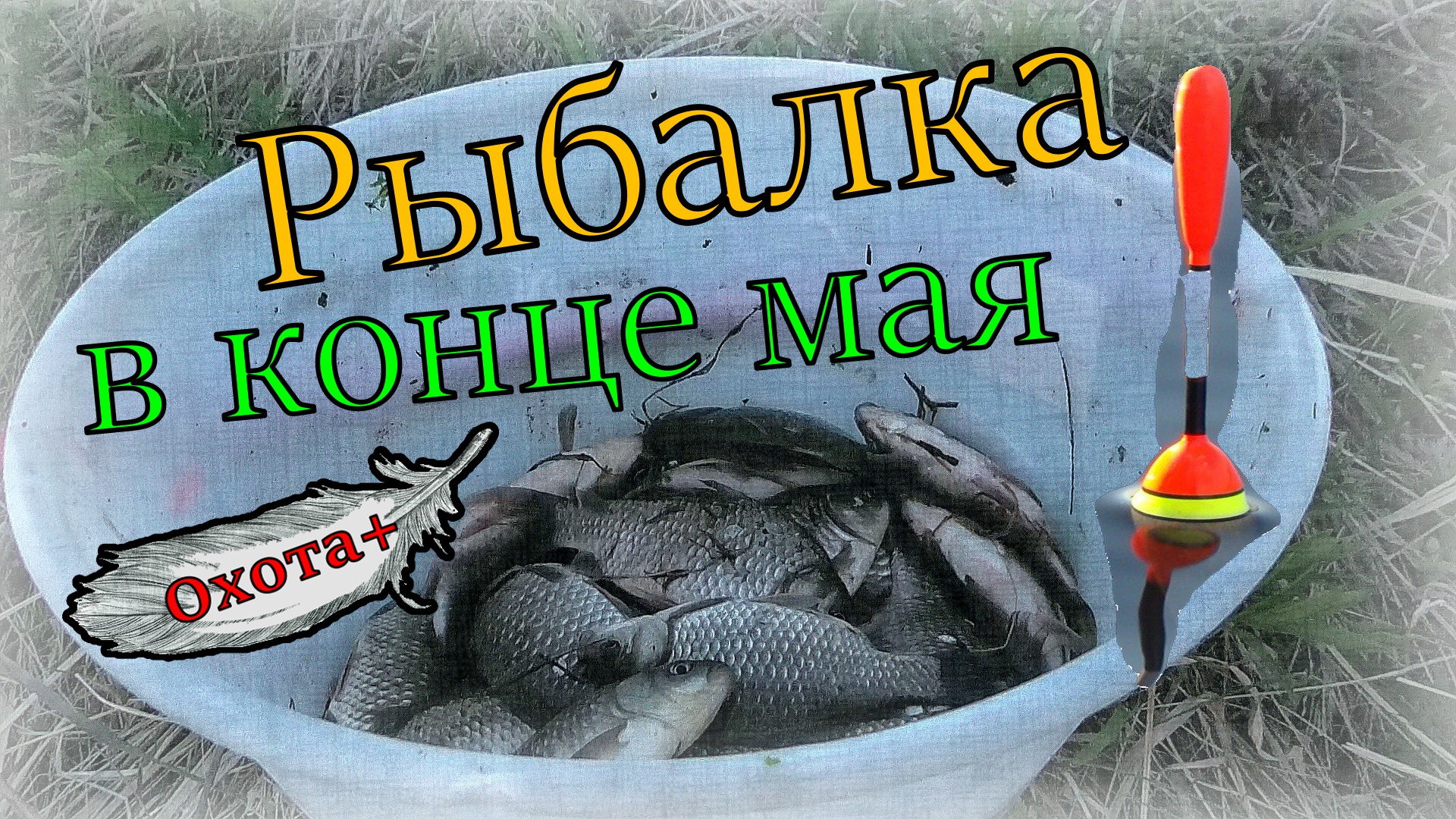 Рыбалка на карася в конце мая. Карась на поплавок клевал как бешенный смотреть онлайн