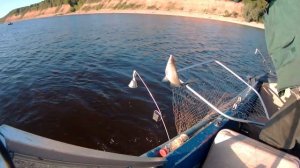 Ловля леща с лодки на подпуск.