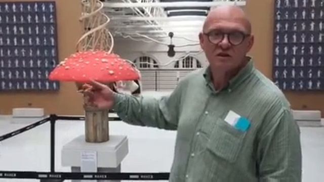 Одна фраза о современном искусстве смотреть онлайн