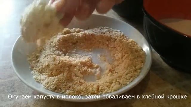 Грибы и экология природы
