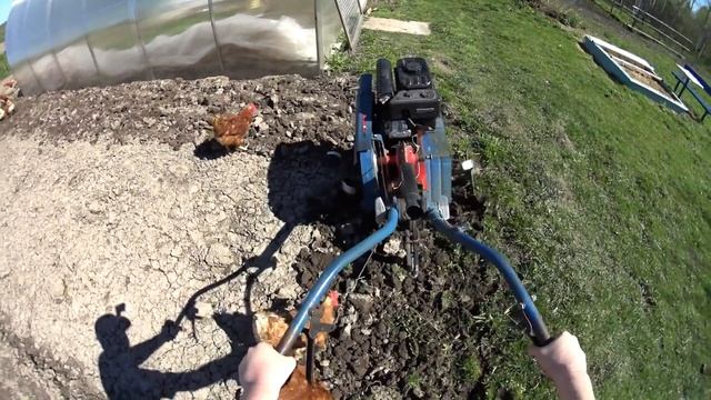 Фрезерование почвы с помощью мотоблока Нева МБ-1. смотреть онлайн