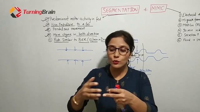 MMC & SEGMENTATION MOVEMENTS смотреть онлайн