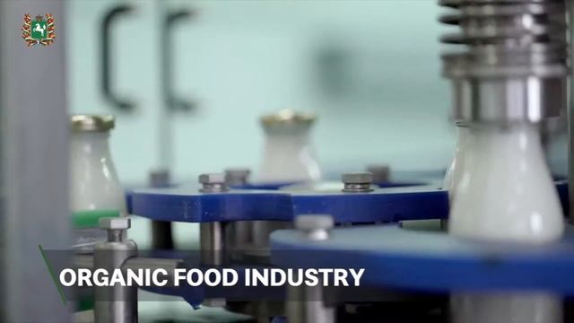 Экспортный потенциал Томской области смотреть онлайн