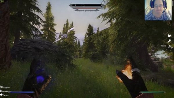 !!!!Стрим -The Elder Scrolls V: Skyrim -Evolution 2.7!!! за пределом