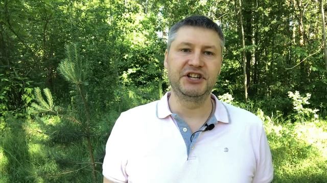 Имеет ли право сотрудник ГИБДД потребовать открыть багажник? смотреть онлайн