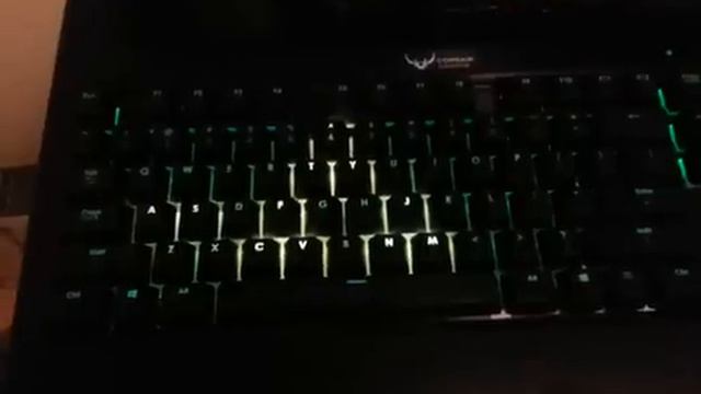 K70 rgb Triforce profile смотреть онлайн