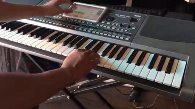 0783499814 Bán Đàn Organ korg pa600 pa900 pa700 cũ Bình Định Ninh Thuận khánh hòa смотреть онлайн