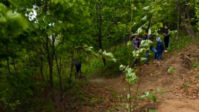 Фрирайд на велосипеде в лесу . проба слайдера для съемки видео смотреть онлайн