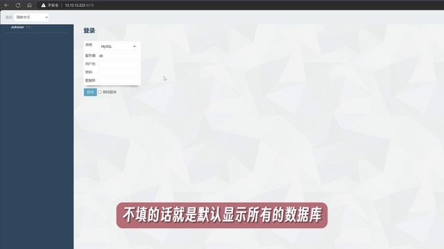 仅 310 Kb！开源免费轻量数据库管理工具 Adminer —— Unraid Docker 62 смотреть онлайн