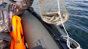 Рыбалка и отдых на Байкале. Зимняя палатка летом. Красоты Байкала. Ночёвка на Байкале летом.