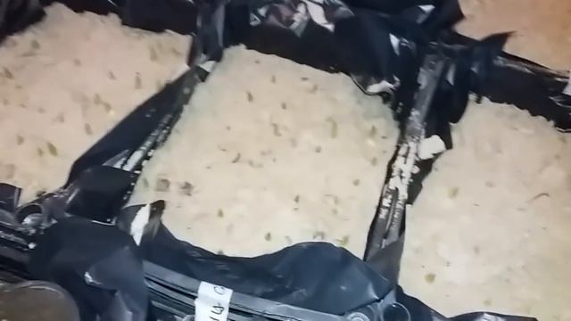 Выгонка лука, тюльпанов, крокусов и других луковичных в зимний период. Зеленый лук к Новому Году. смотреть онлайн