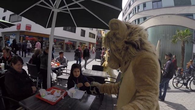 Public Fursuiting Fun in Lörrach, Germany 05/2017 смотреть онлайн