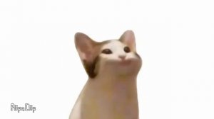 кот открывает и закрывает рот на протяжении 20 секунд #мем #рекомендации #кот #котэ