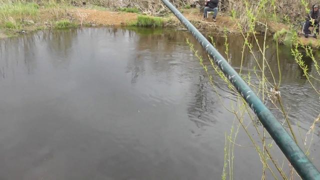 карась на речке смотреть онлайн