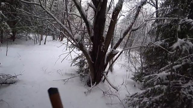 Прогулка по лесу с ружьём. Охота 2021. Без добычи. Рябчик, заяц. смотреть онлайн