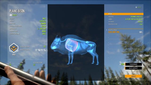 Hunting Trolls on Yukon Before The Rockies! The Hunter Call of The Wild 4K смотреть онлайн