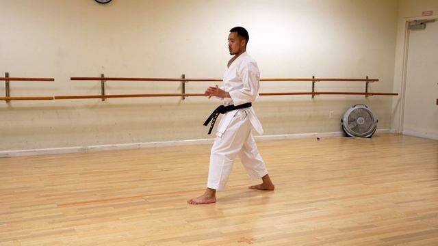 Mawashi Geri Tutorial (Shotokan Karate) ?⛩ смотреть онлайн