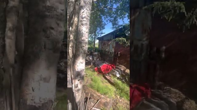 Дача Геолог-2 смотреть онлайн