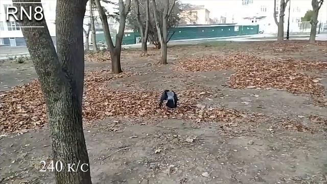 Обзор камеры Redmi Note 8