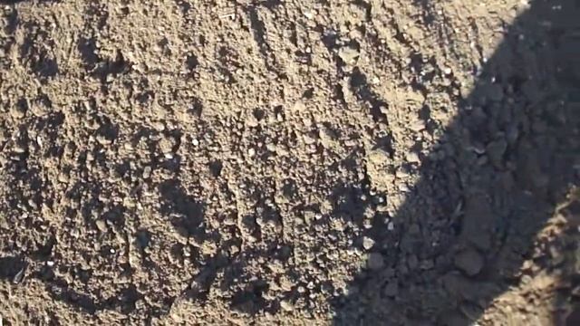 Мотокультиватор Pubert (Caiman) Vario смотреть онлайн