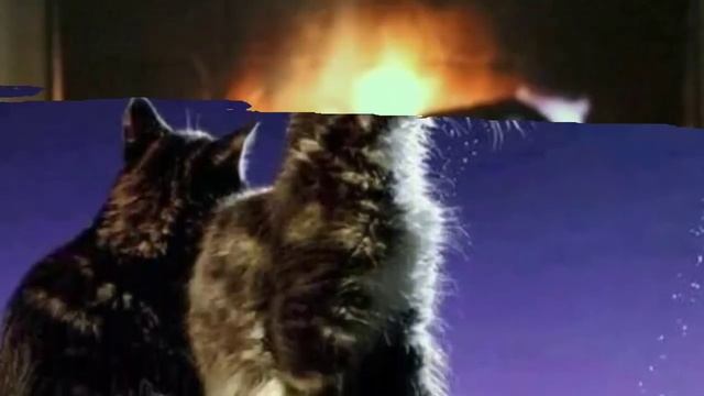 ДОБРЫЙ ВЕЧЕР ?! САМЫЕ КРАСИВЫЕ И ТЕПЛЫЕ ПОЖЕЛАНИЯ ДОБРОГО ВЕЧЕРА! ? С ДОБРЫМ ВЕЧЕРОМ ! смотреть онлайн