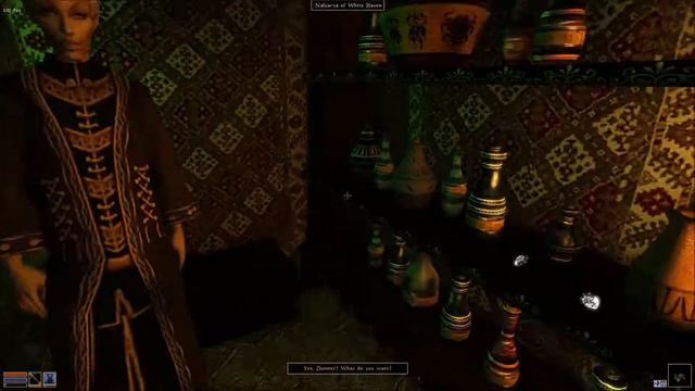 Let's Play Morrowind [Overhaul] Part 2- Arriving in Balmora and AN EARTHQUAKE! смотреть онлайн