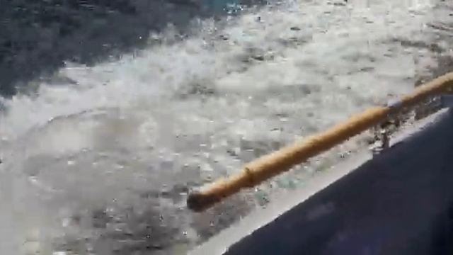 Wile 405 + Suzuki DF 9.9 смотреть онлайн